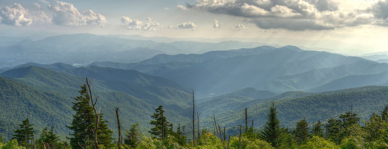 agarha_vendor_ratings