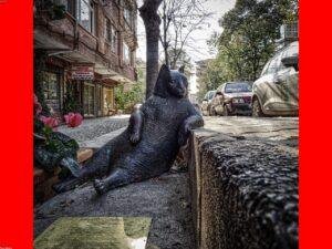 أجهزة كارديو